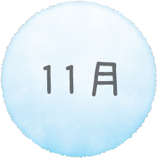 11月